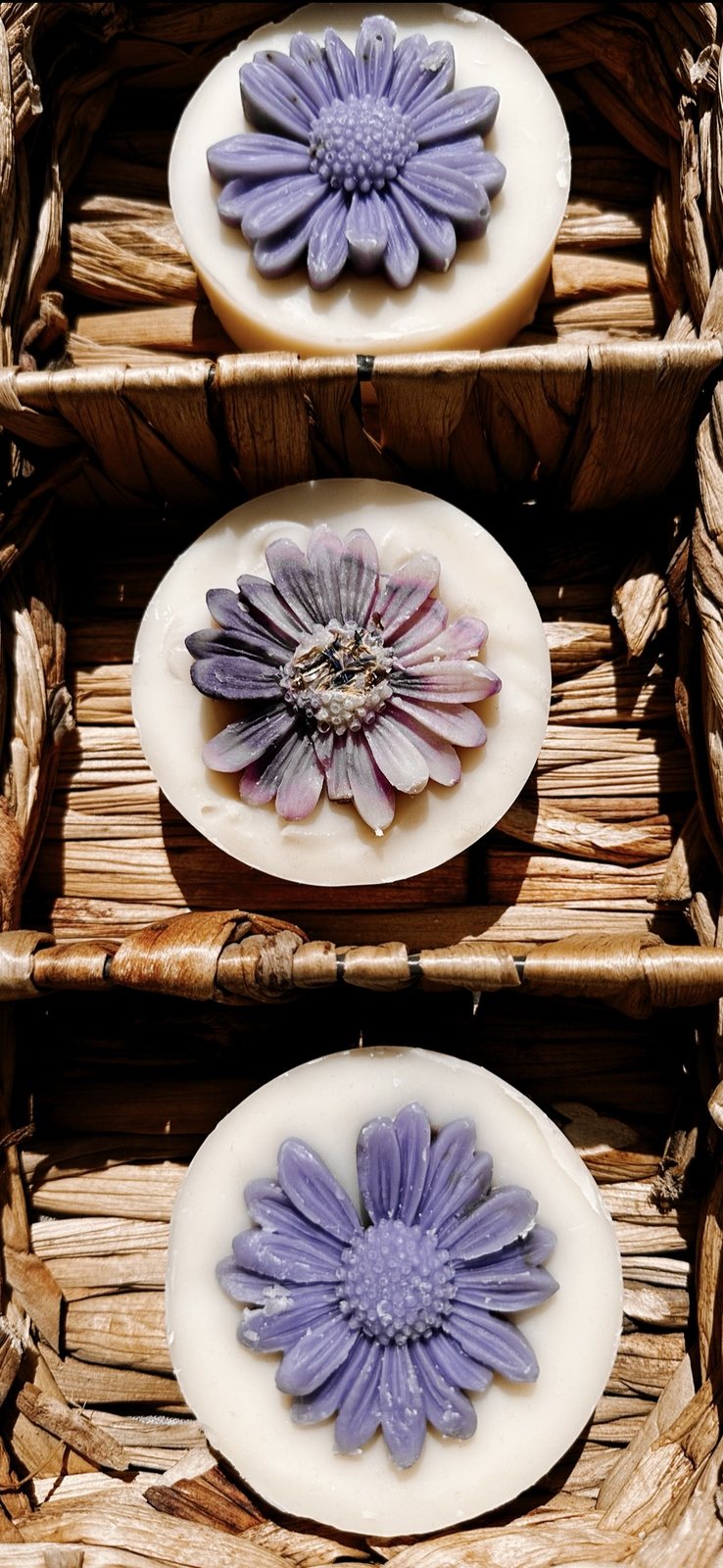 Lovely Violet Special Edition rund